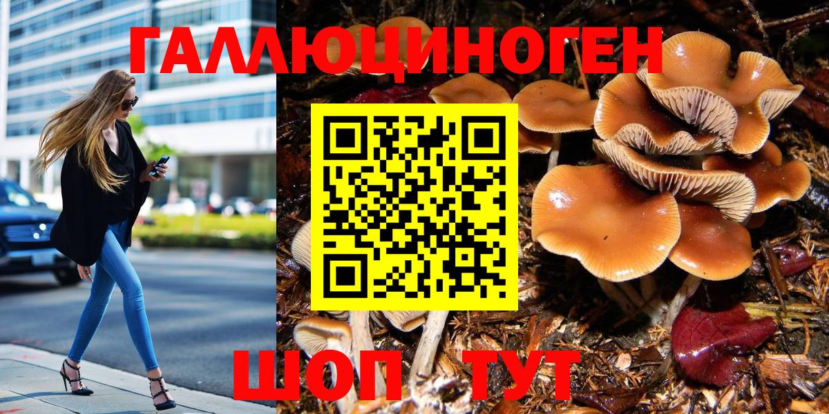 Галлюциногенные грибы Cubensis Воткинск